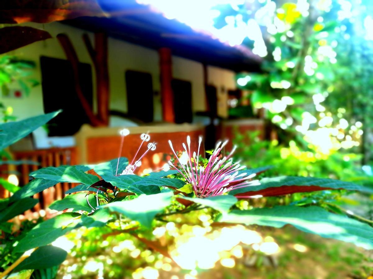 Sisira Homestay - Sigirija Zewnętrze zdjęcie