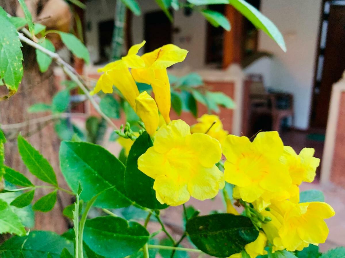 Sisira Homestay - Sigirija Zewnętrze zdjęcie